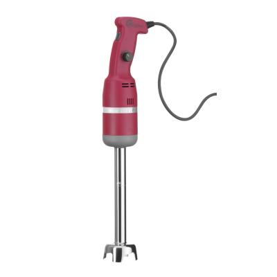 Tyčový mixér 250 - nastavitelná rychlost, HENDI, Profi Line, 230V/250W, ⌀75x(H)540mm | 224373